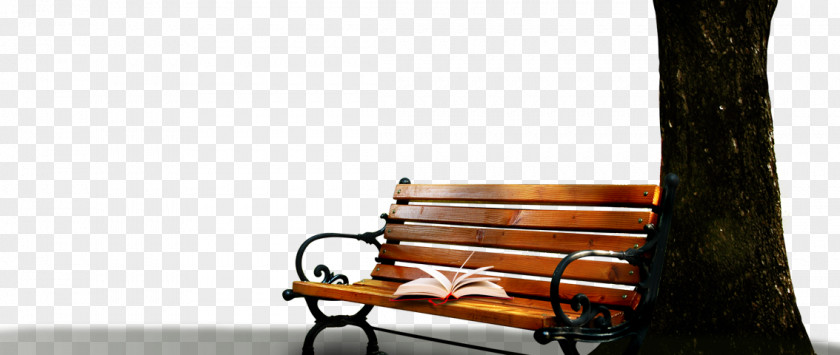 Park Bench Books Table Chair PNG