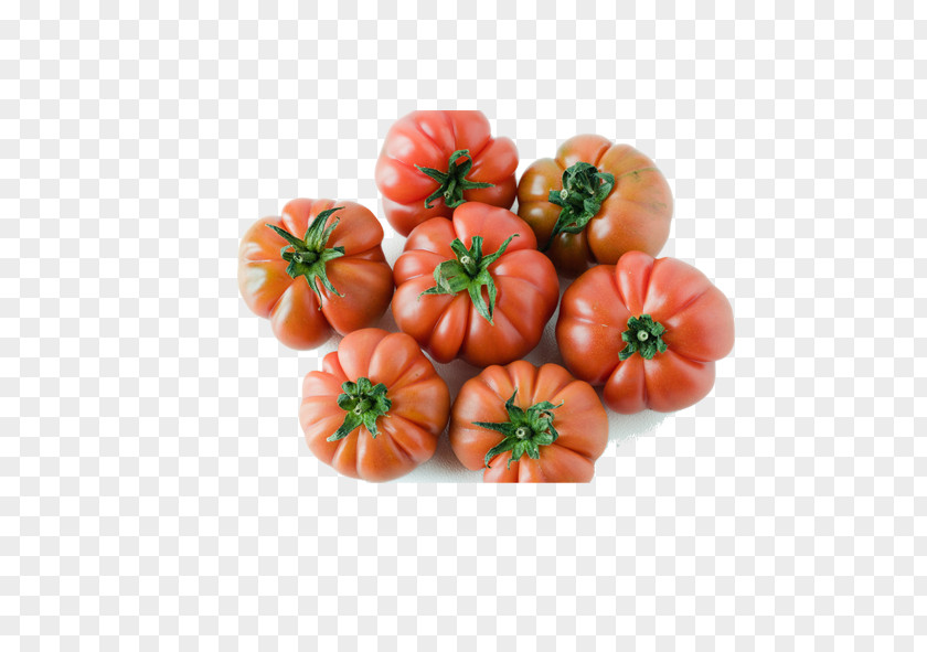 Tomato Vegetables Sementi E Piante Elette Di Badii G. & C. S.n.c. San Marzano Bell Pepper Parmigiana Vegetable PNG