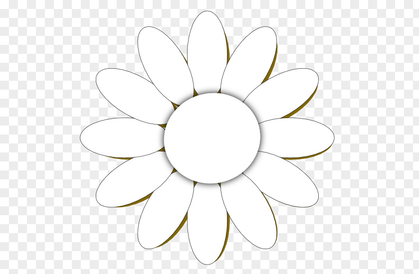 Flower Line Art Drawing Common Daisy Clip PNG
