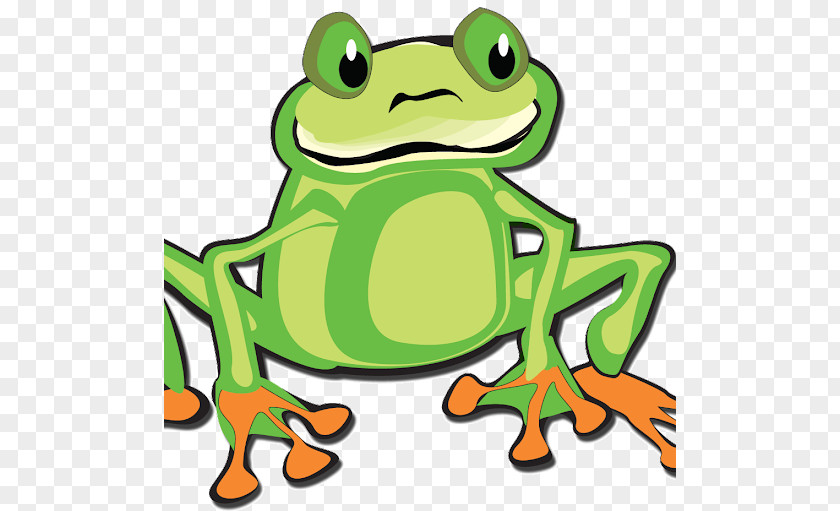 Frog Coloring Book Toad Drawing PNG