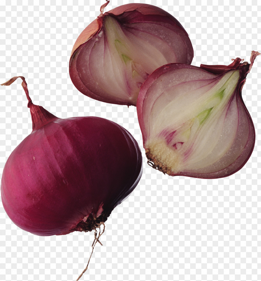 Garlic Onion Ring Veggie Burger Vegetable Brush PNG