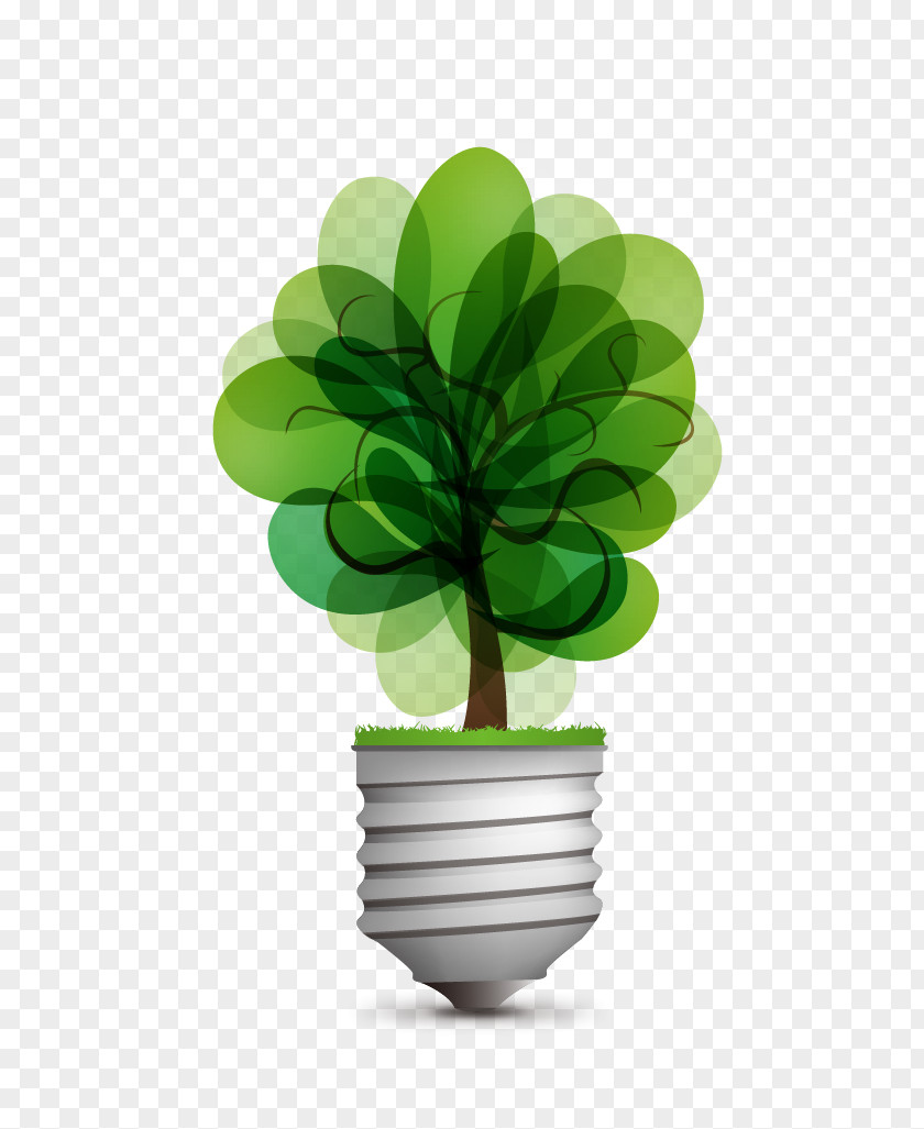 Green Light Bulb Idea Incandescent Renewable Energy PNG