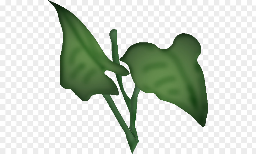 Imported Flower PNG