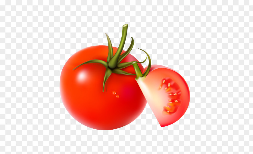 Quality Plum Tomato Vegetable Ketchup Image PNG