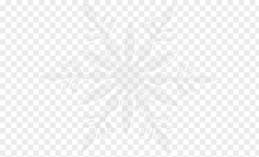 Snowflake Image Symmetry Line Angle Black And White Pattern PNG