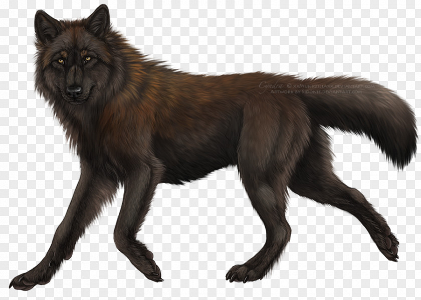 Wolf-vector Wolfdog Drawing Wildlife PNG
