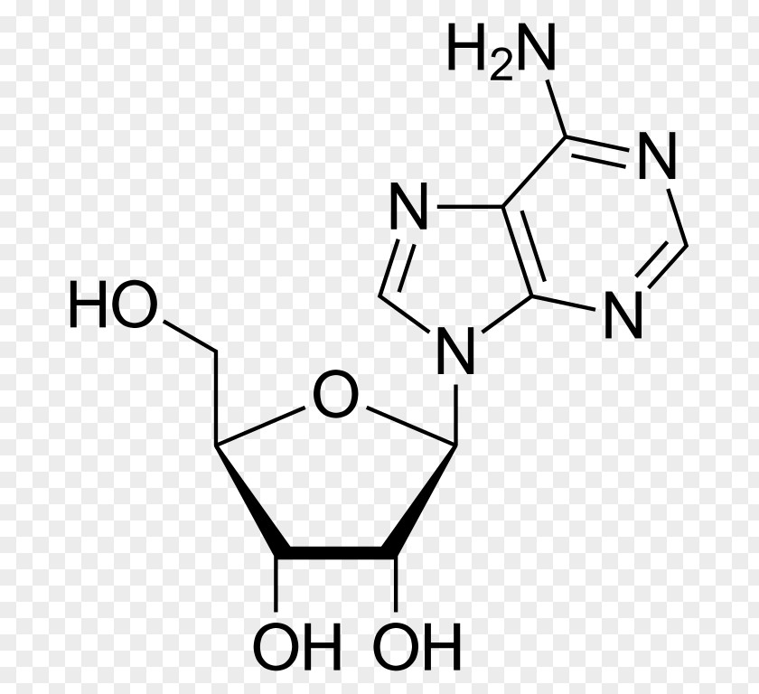 Anti Drug RNA Polymerase Nucleotide Adenosine Triphosphate DNA PNG