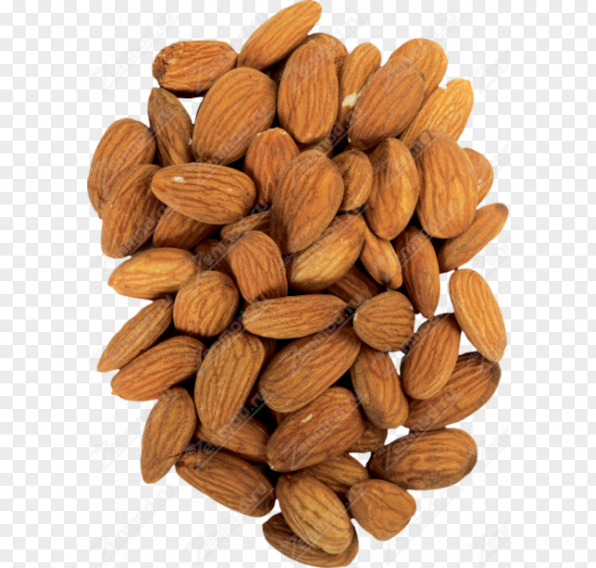 Bitter Almond Nut Celebrity Chef Digestive Enzyme PNG