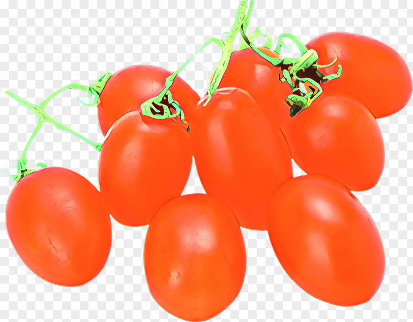 Bush Tomato Plum PNG