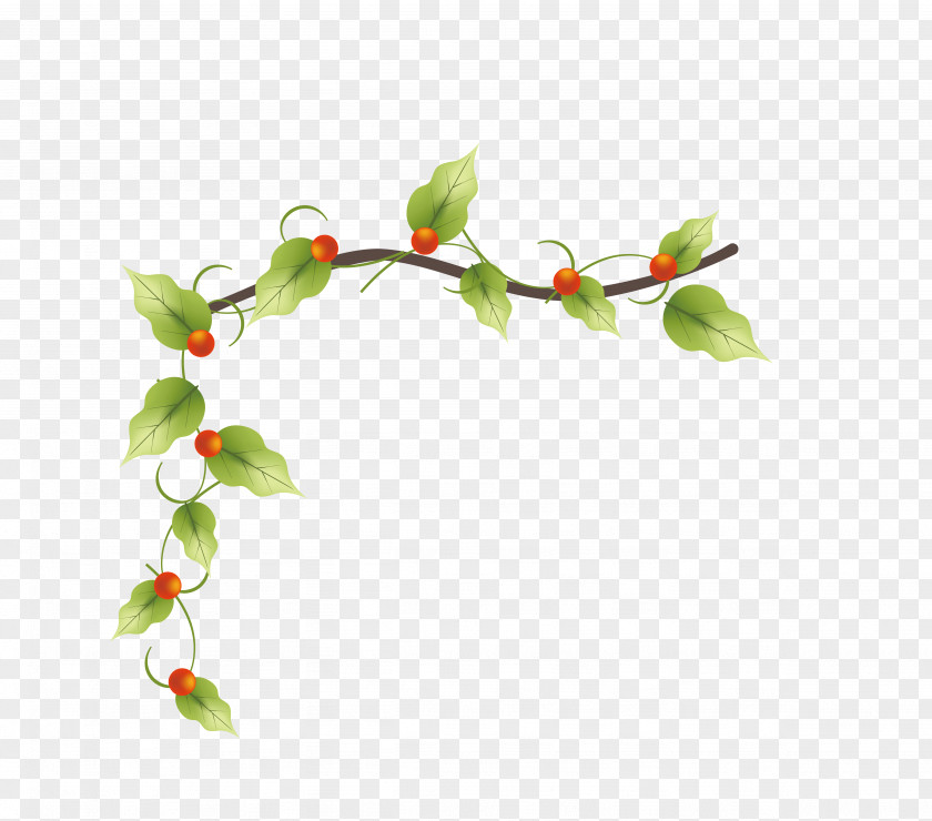 European-style Beautiful Green Flower Rat Vector Vine Plant PNG