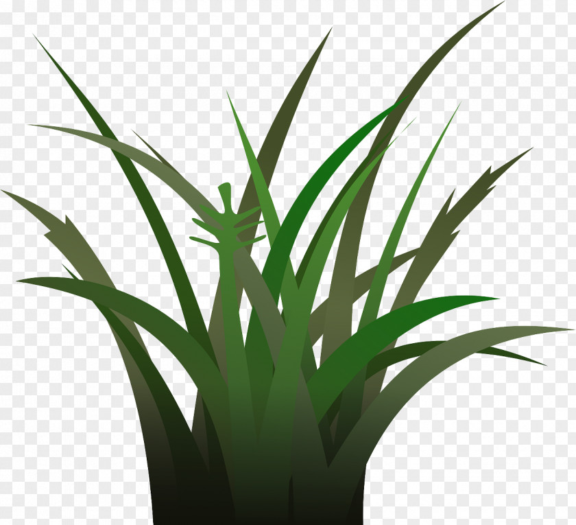 Green Grass Free Content Stock Photography Clip Art PNG