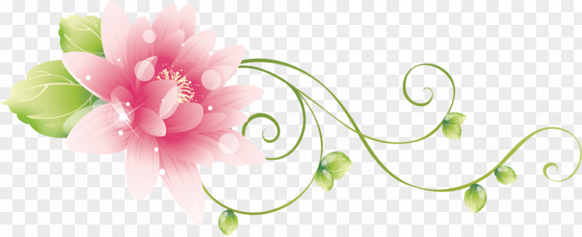 Hoa Sen Floral Design Blog Flower เด็กดี.คอม PNG