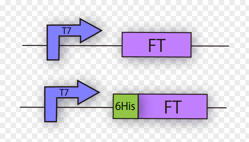 Line Angle Technology Diagram PNG