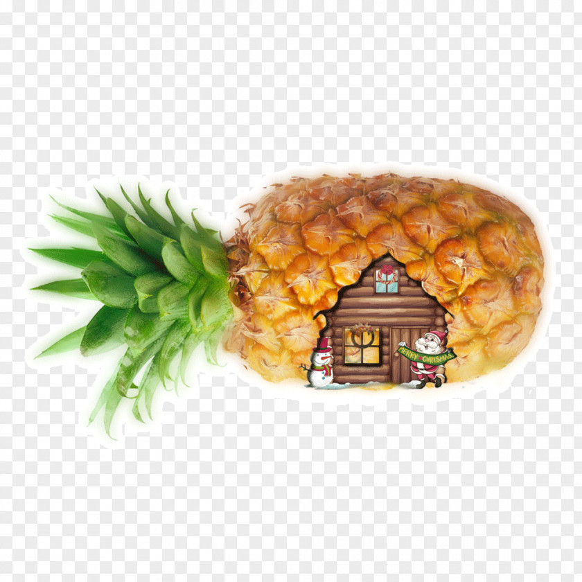 Pineapple House Vegetarian Cuisine Fruit Cottage PNG