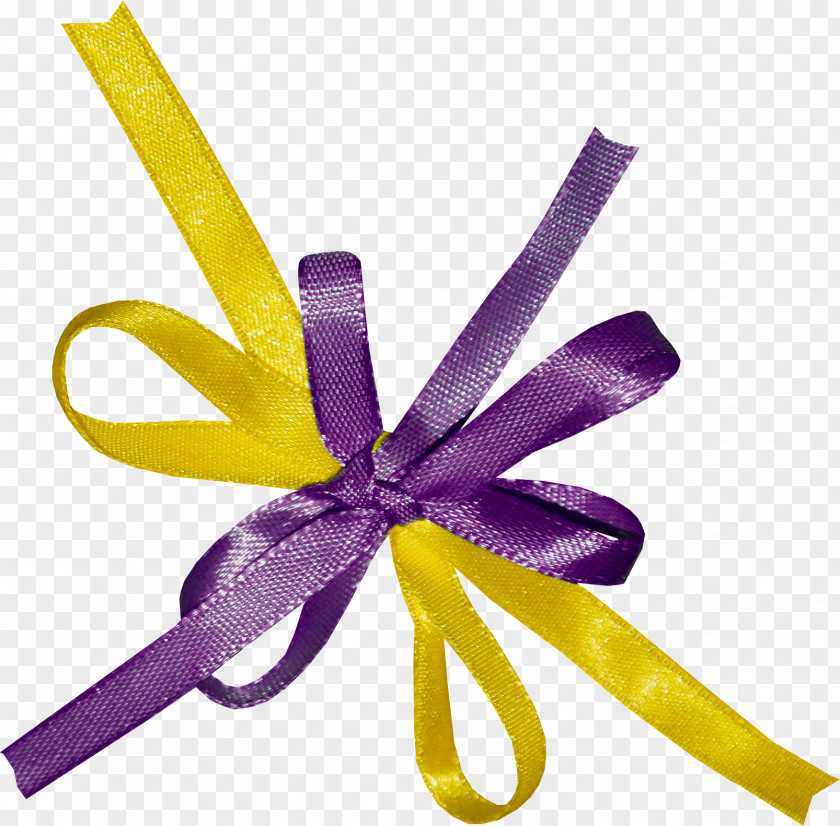 Ribbon Lilac Violet Color Clip Art PNG