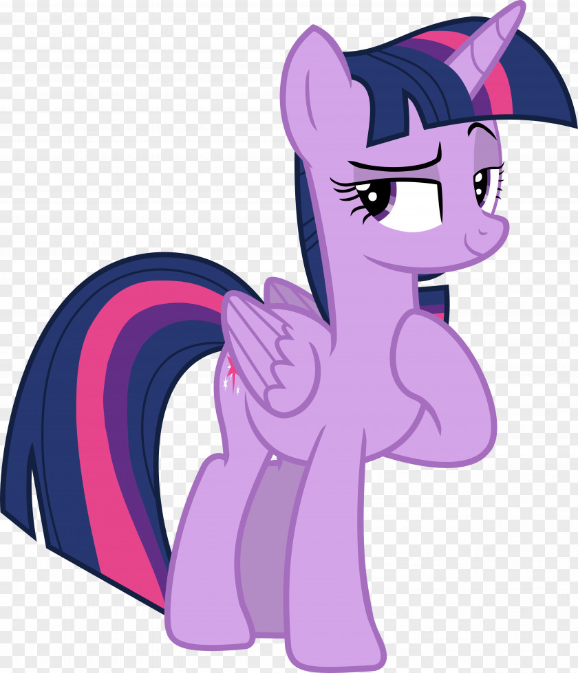Youtube Twilight Sparkle YouTube Pony Derpy Hooves The Saga PNG