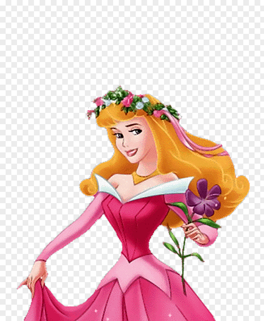 Disney Princess Aurora Tiana Ariel PNG