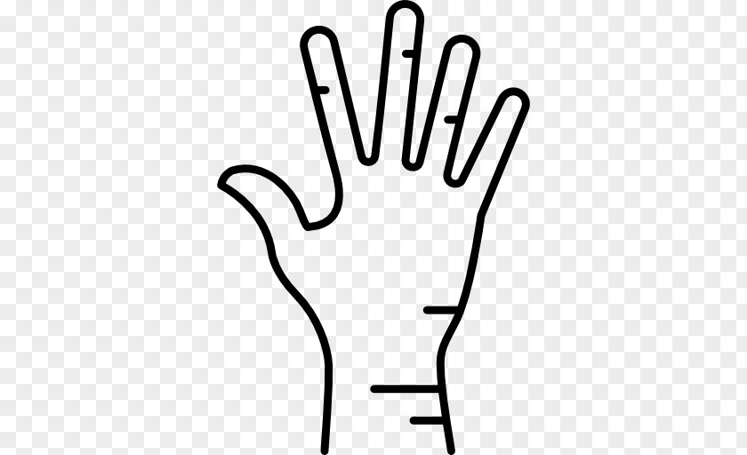 Hand Human Body Thumb Homo Sapiens Toe PNG