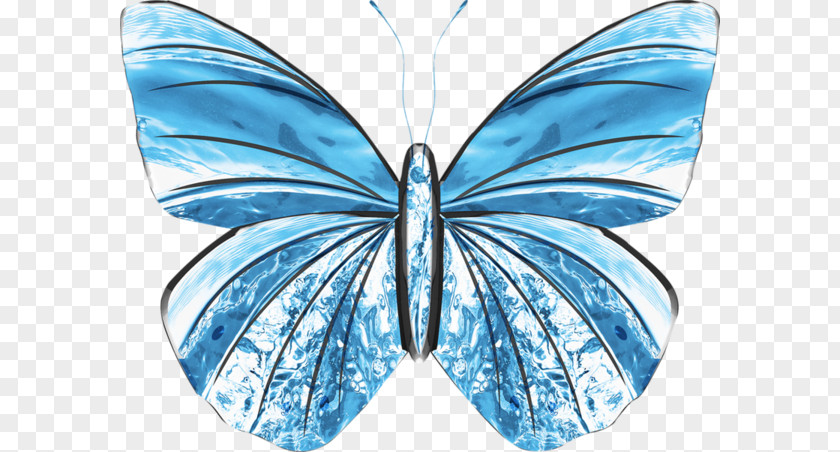 Hand-painted Blue Butterfly Photography Illustration PNG