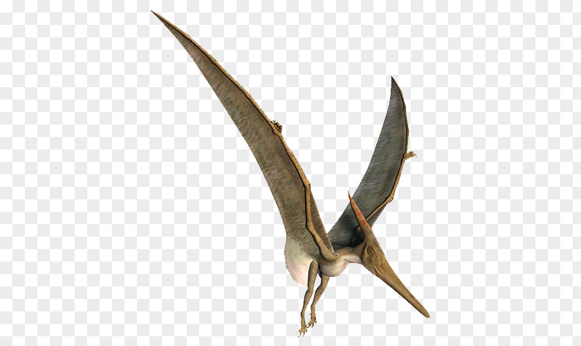 Obscured Child Pteranodon Stock Photography Royalty-free Pterodactyl Illustration PNG
