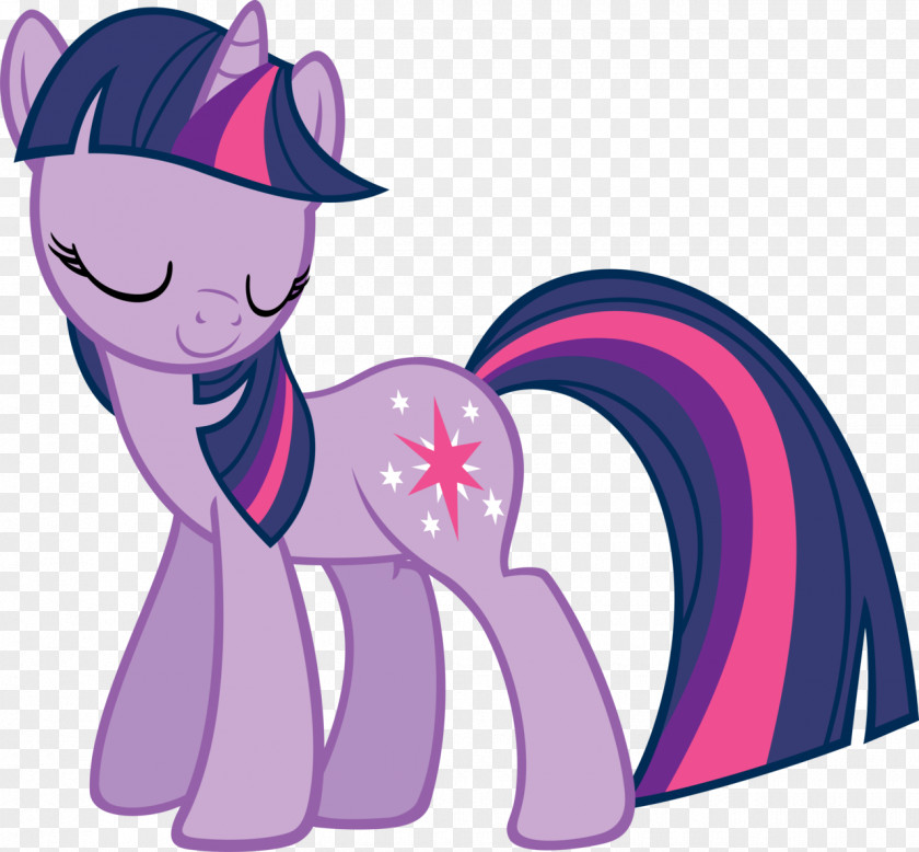 Twilight Sparkle Pony Pinkie Pie DeviantArt Drawing PNG
