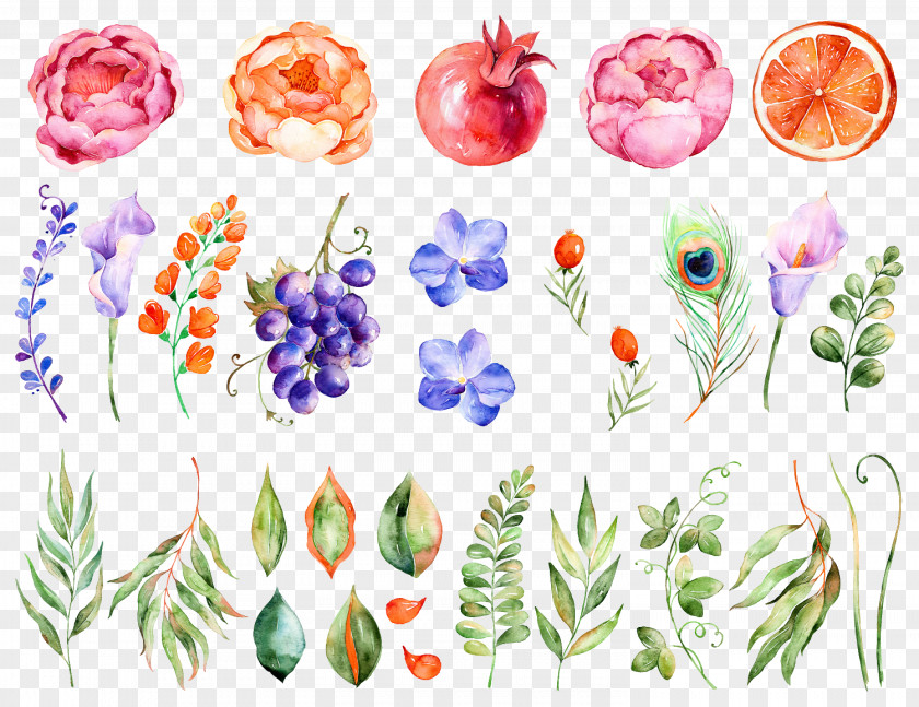 Watercolor Flowers Flower Painting PNG