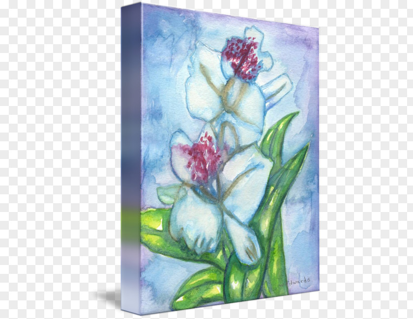 Painted Orchid Floral Design Watercolor Painting Still Life Photography PNG