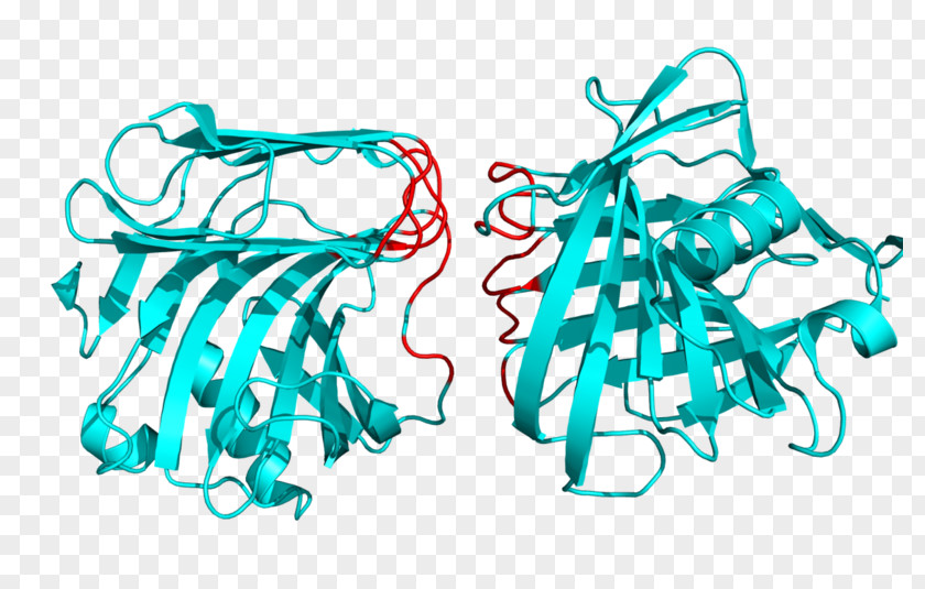 PyMOL Residue Protein Turquoise Interface PNG