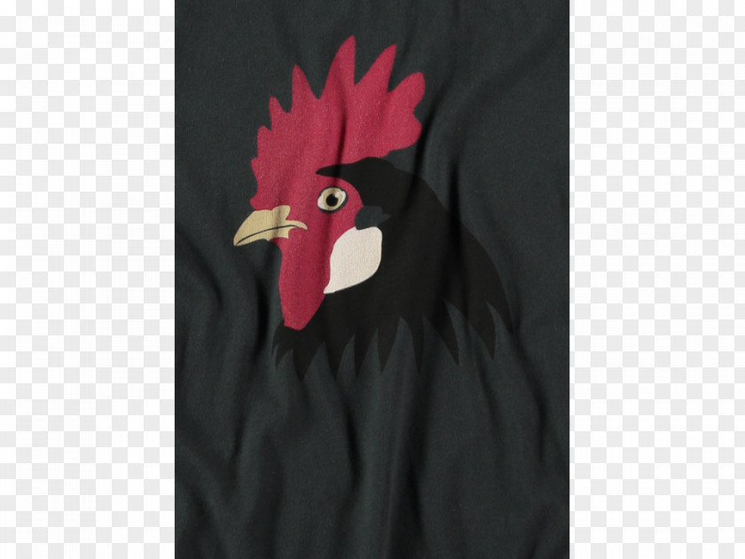 Rooster Outerwear Beak Chicken As Food PNG