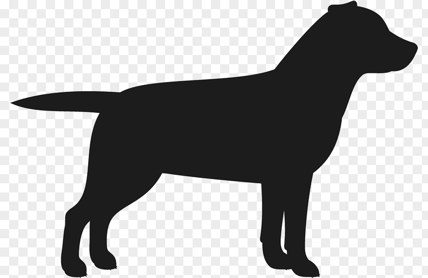 American Pit Bull Terrier Guard Dog And Cat PNG