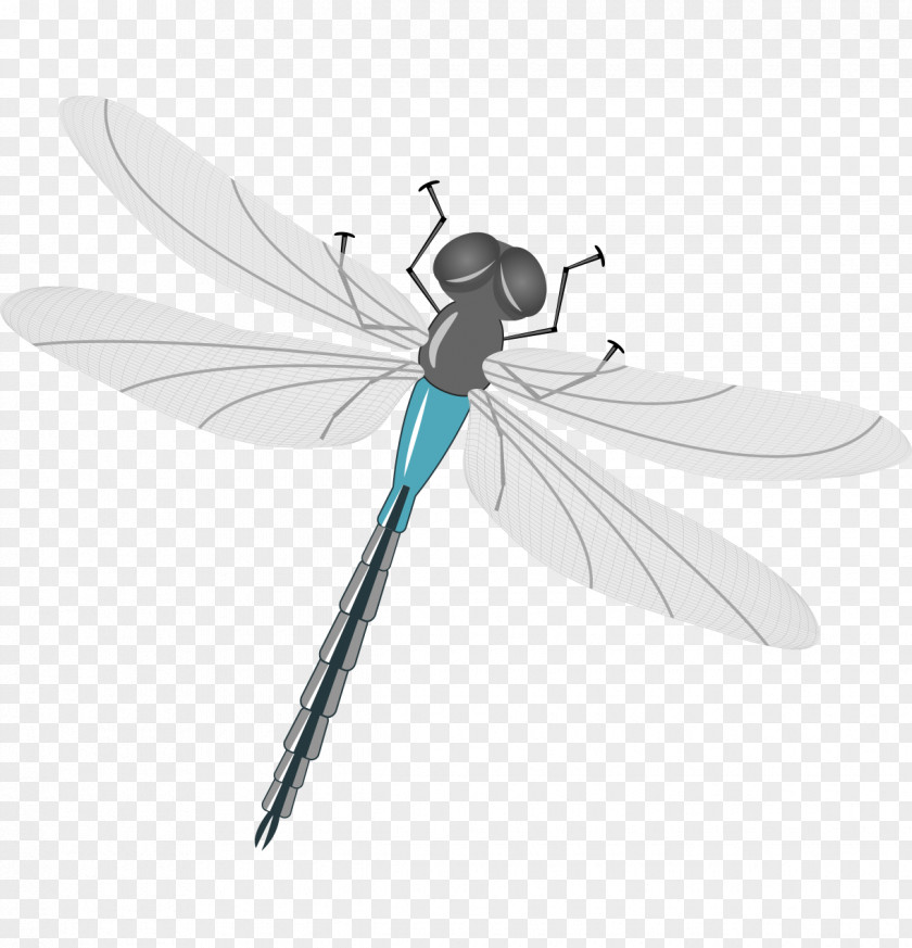 Vector Cartoon Dragonfly Fly Gray Painted Mosquito Insect Illustration PNG