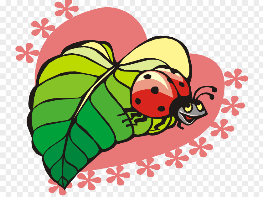 Animation Ladybird Insect Clip Art PNG