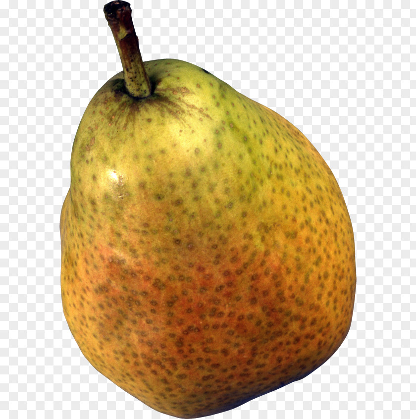 Asian Pear Natural Foods Fruit Tree PNG