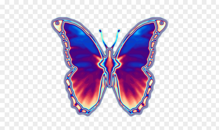 Butterfly Monarch Luna Moth Hawk Moths PNG