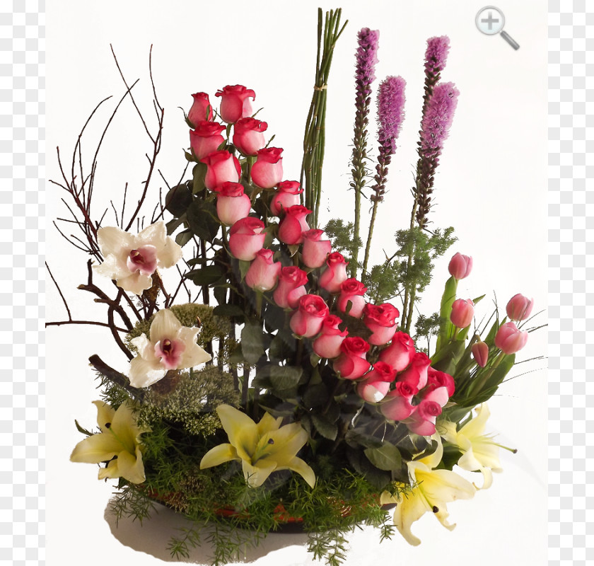 Design Floral Cut Flowers Floristry PNG