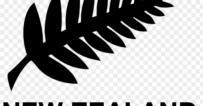 Football New Zealand National Team Oceania Confederation Wellington Olympic AFC PNG