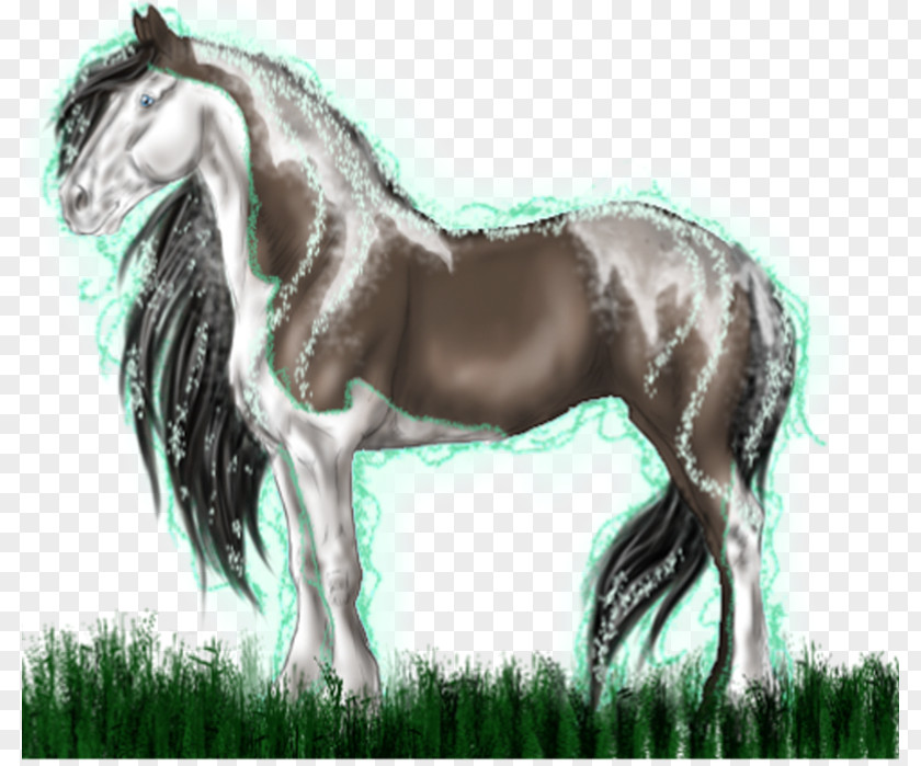 Mustang Mane Stallion Foal Mare PNG