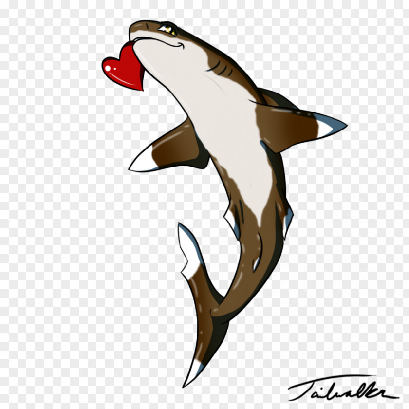 Oceanic Whitetip Shark Beak Clip Art Water Bird Fauna PNG