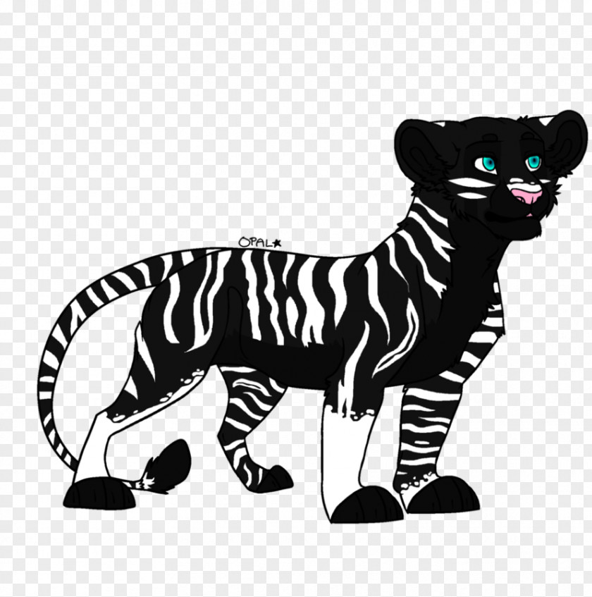Tiger Whiskers Big Cat Puma PNG