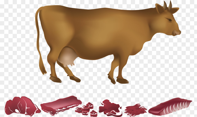 A Cow Dairy Cattle Beef PNG