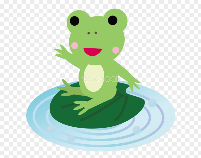 Ai.zip Frog Cartoon Surface Water PNG