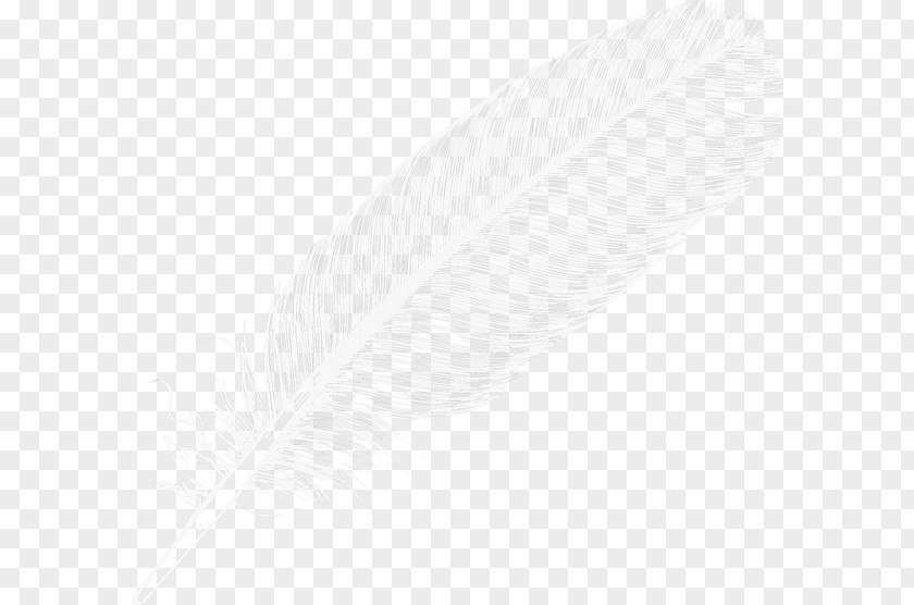 Almost Transparent Colored Feathers White Black Angle Pattern PNG