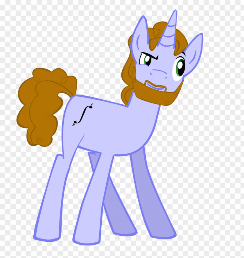 Chuck Norris Horse Mammal Cat Animal PNG