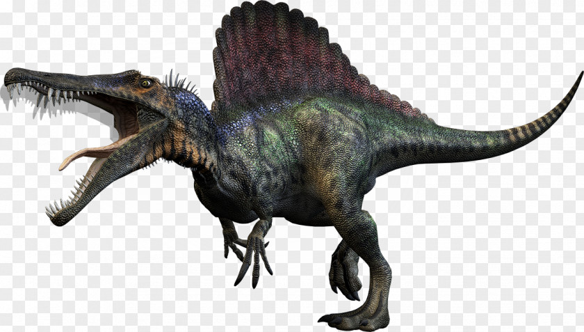 Dinosaur Spinosaurus Carnivores: Hunter Tyrannosaurus Giganotosaurus Size PNG