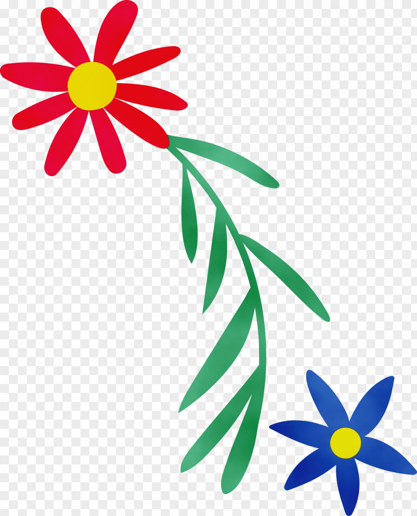 Floral Design PNG