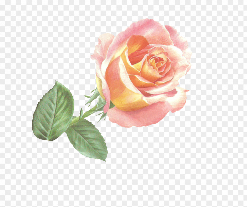 Flower Garden Roses Artificial Paper PNG