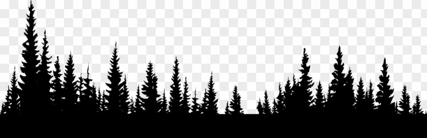 Forest Desktop Wallpaper Clip Art PNG