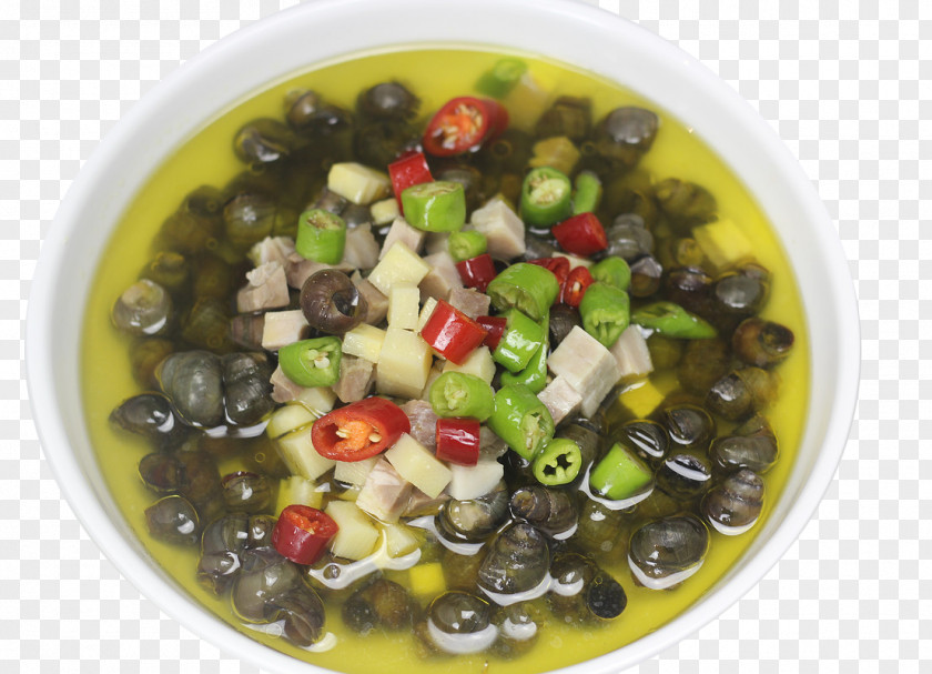 Fresh Chicken Soup Escargot Hot Pot Viviparidae Prosobranchia PNG