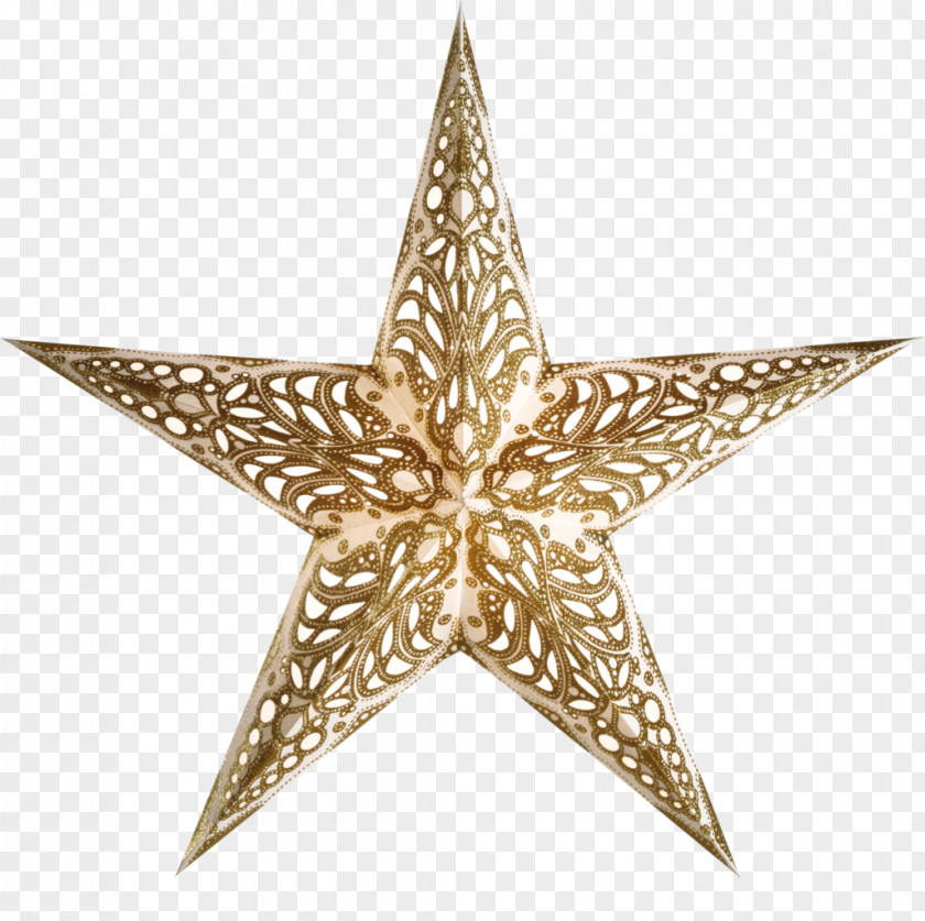 Gold Stars Paper Christmas Poinsettia PNG