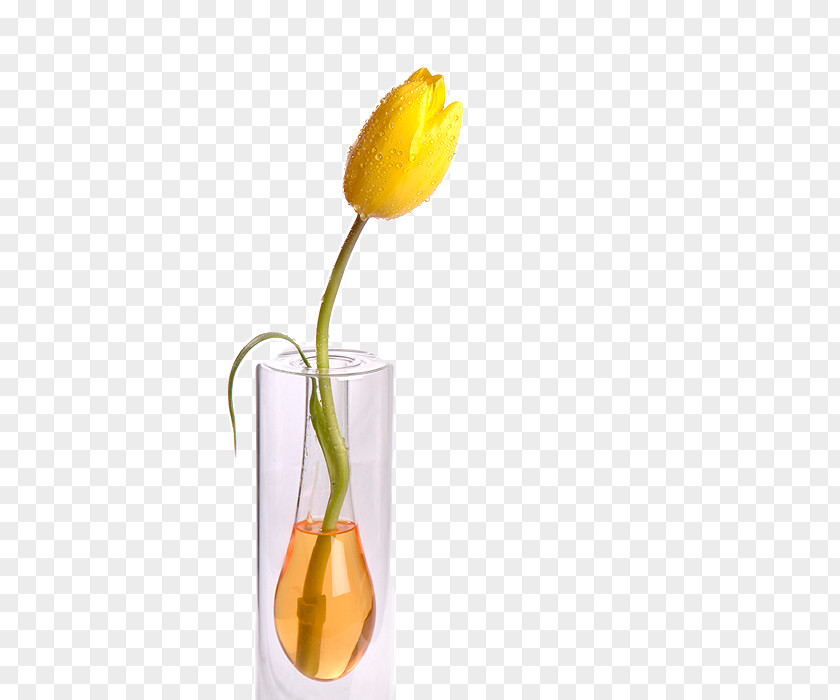 Islam Background Still Life Photography Vase PNG